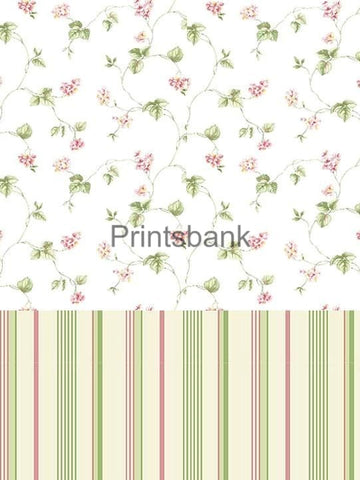 Wholesale Cambric Dress Material Top & Bottom Set Wholesale Cambric Dress Material Top & Bottom Set