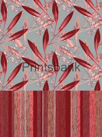 Wholesale Cambric Dress Material Top & Bottom Set